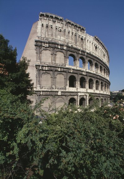 The Colosseum by Roman